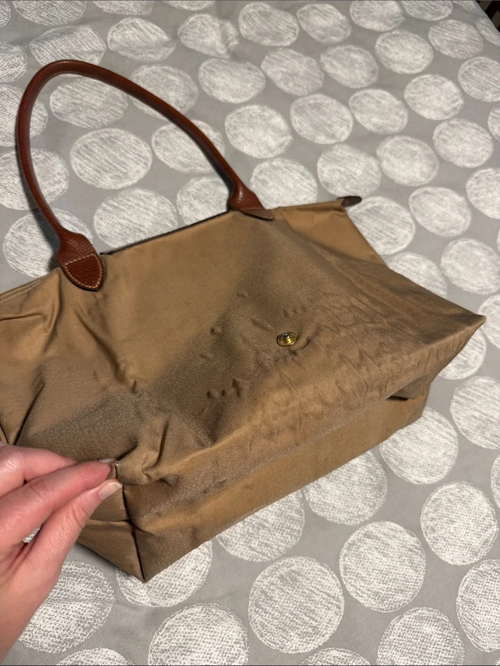 Tan Longchamp with Brown Trim